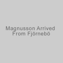 Magnusson arrived from Fjörnebö